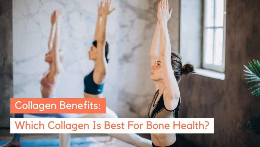 What Type Of Collagen Is Best For Bones Organixx