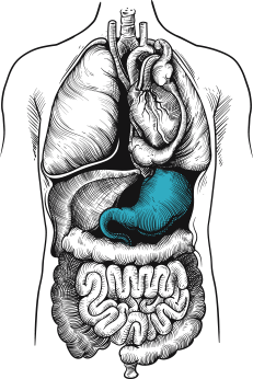 Stomach Pain