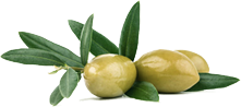 Olive Oil