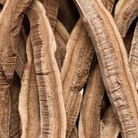 Organic Reishi Mushroom