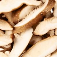 Organic Shiitake Mushroom