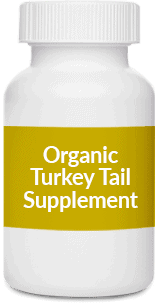 Organic Turkey Tail Supplement