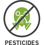 No Pesticides
