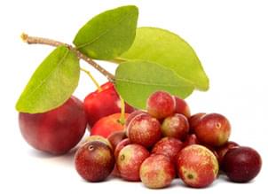 Camu Camu & Acerola Cherry