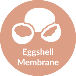 Eggshell Membrane