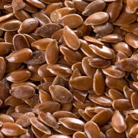 Organic Flax Seed Protein Powder