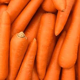 Organic Carrot Powder