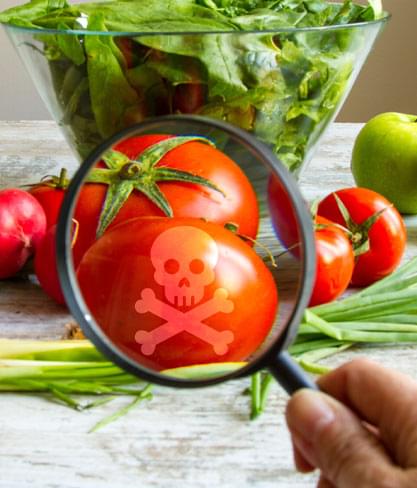 Organic Ingredients: Quality Matters