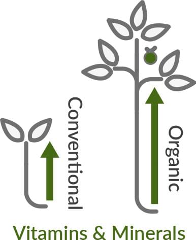 Vitamins and Minerals