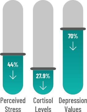 Study Graph