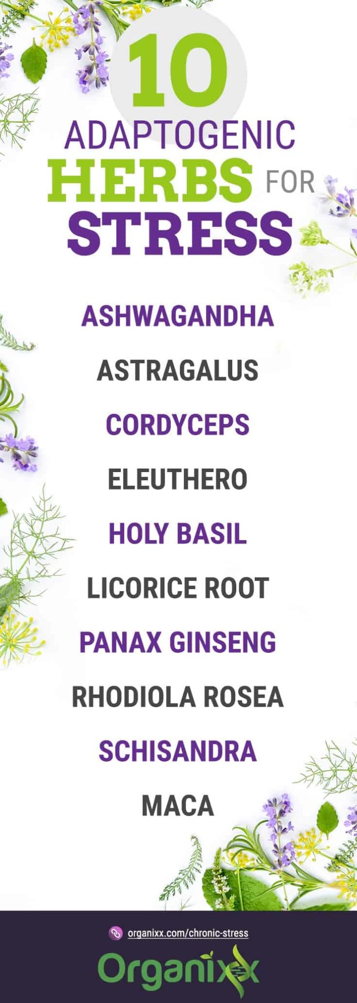 Stressed Out? 10 Adaptogenic Herbs That Help With Chronic Stress – Organixx