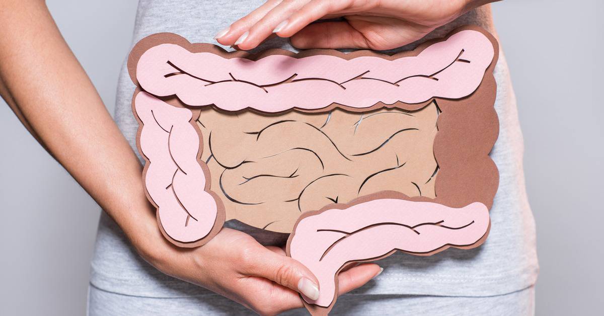 WHY ARE ENZYMES ESSENTIAL TO LIFE visual data 5