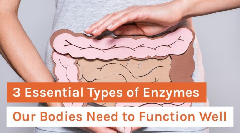 3 Essential Types of Enzymes Our Bodies Need to Function Well