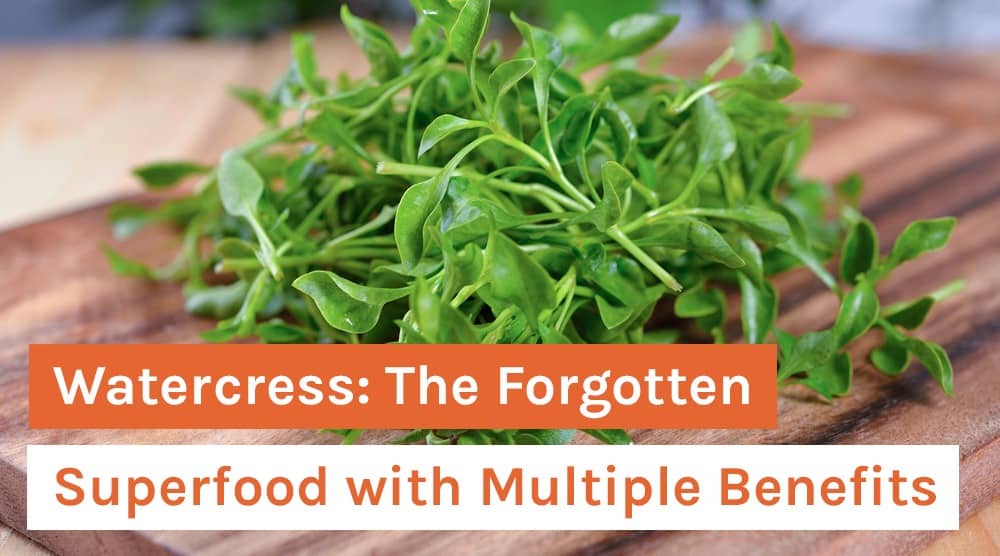 Watercress: The Forgotten Superfood with Multiple Benefits
