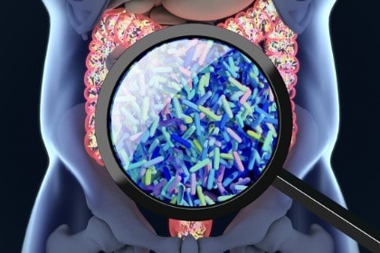 probiotics-gut-bacteria-microbiome-bacteria-magnified-through-magnifying-glass
