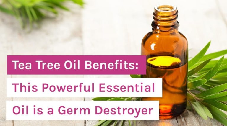 Tea Tree Oil Benefits_ This Powerful Essential Oil is a Germ Destroyer