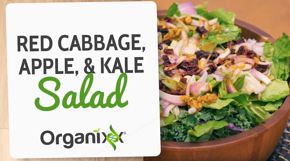 Enzyme-rich Red Cabbage, Apple &amp; Kale Salad Recipe