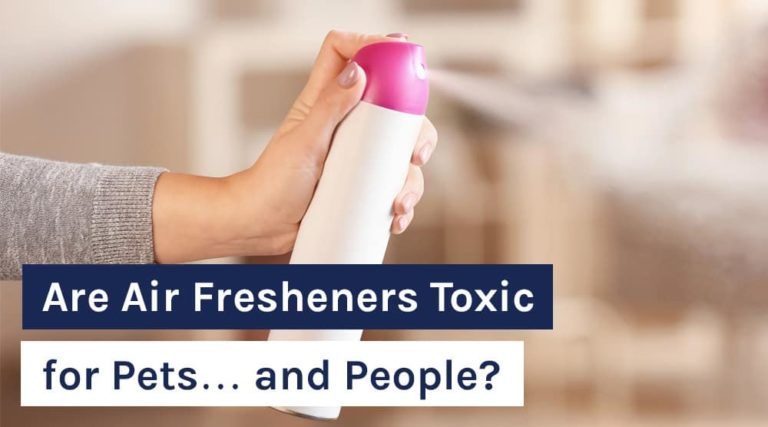 Are Air Fresheners Toxic for Pets… and People