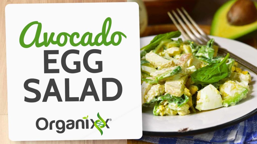 Avocado Egg Salad