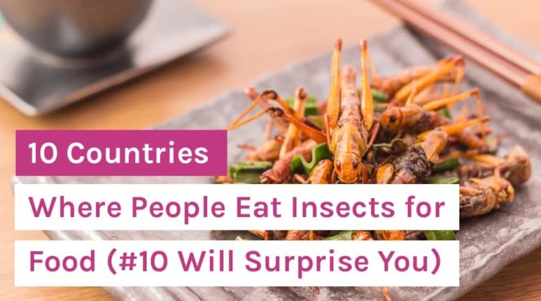 10 Countries Where People Eat Insects for Food (#10 Will Surprise You)