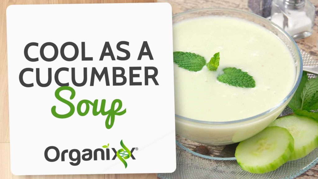 Cool as a Cucumber Soup