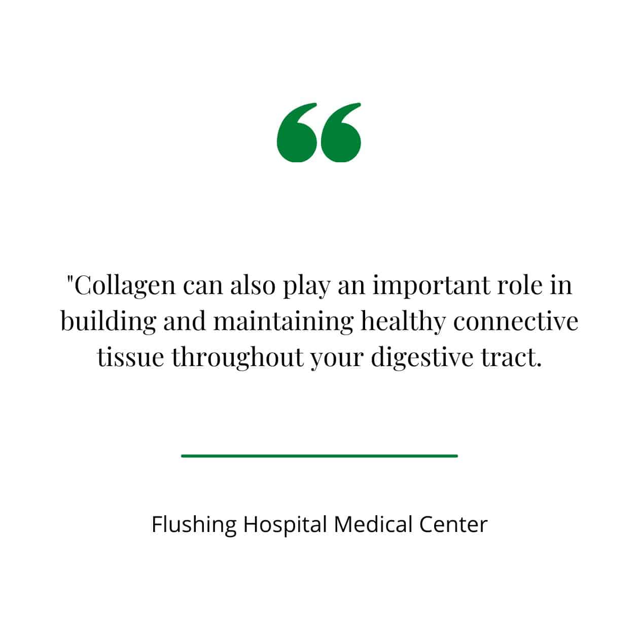 Collagen for a healthy gut quote from Flushing Hospital Medical Center.