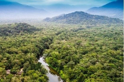 aerial view of amazon rain forest in South America