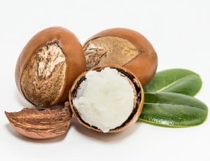 Shea nuts with shea butter. Shea butter is excellent in DIY skin care products. 