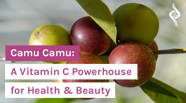 Camu Camu: A Vitamin C Powerhouse for Health & Beauty