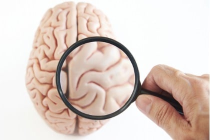 hand holding magnifying glass examining brain model