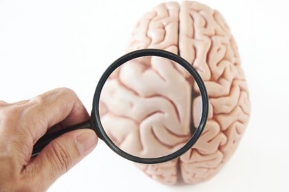 hand holding magnifying glass looking at brain