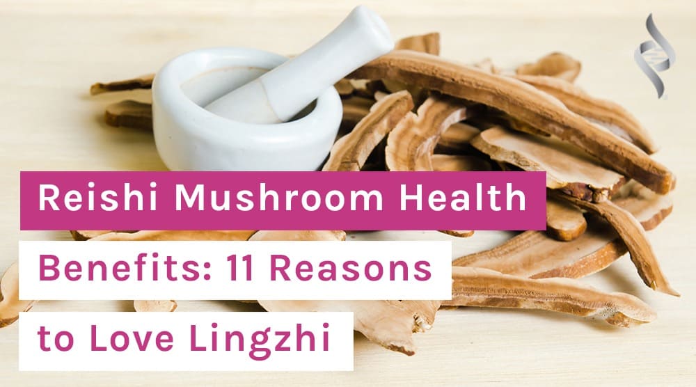 Reishi Mushroom Health Benefits: 11 Reasons to Love Lingzhi