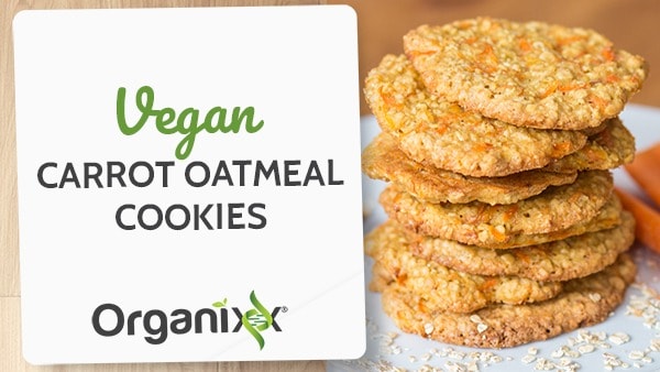 Vegan Carrot Oatmeal Cookies