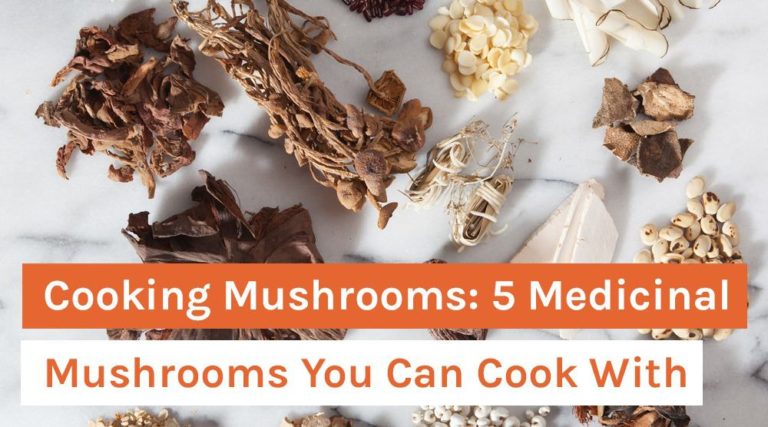 Cooking Mushrooms_ 5 Medicinal Mushrooms You Can Cook With
