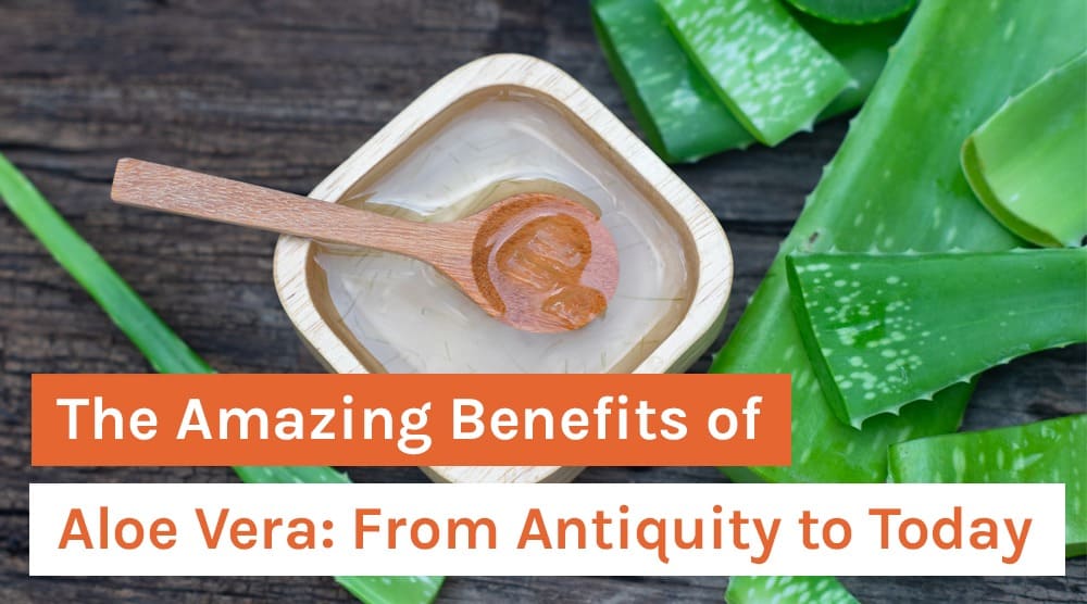 The Amazing Benefits of Aloe Vera: From Antiquity to Today