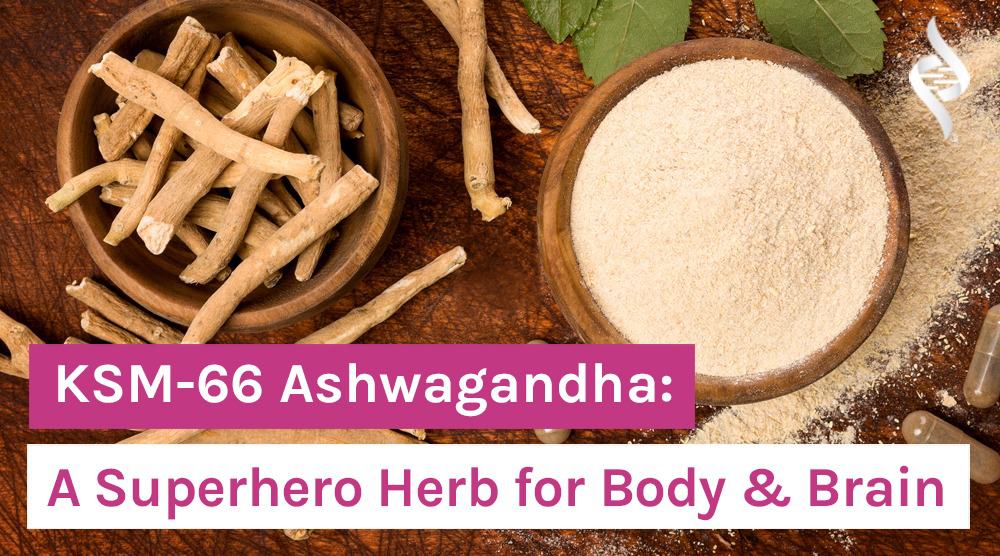 KSM-66 Ashwagandha: A Superhero Herb for Body & Brain