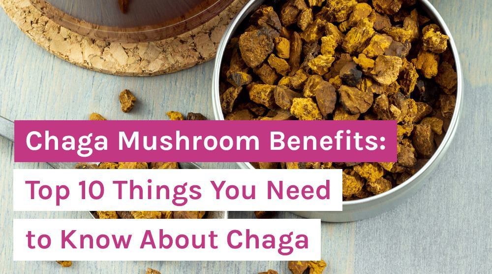 Chaga Mushroom Benefits: Top 10 Things You Need to Know About Chaga