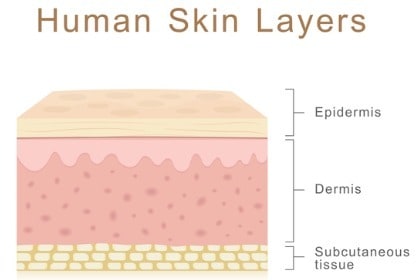 human-skin-layers-epidermis-dermis-subcutaneous