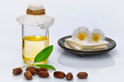 jojoba-leaves-seeds-and-oil