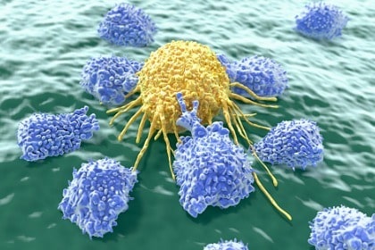lymphocytes-attacking-cancer-cell