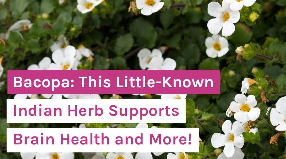Bacopa: This Little-Known Indian Herb Supports Brain Health and More!