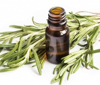 rosemary-essential-oil-with-fresh-rosemary