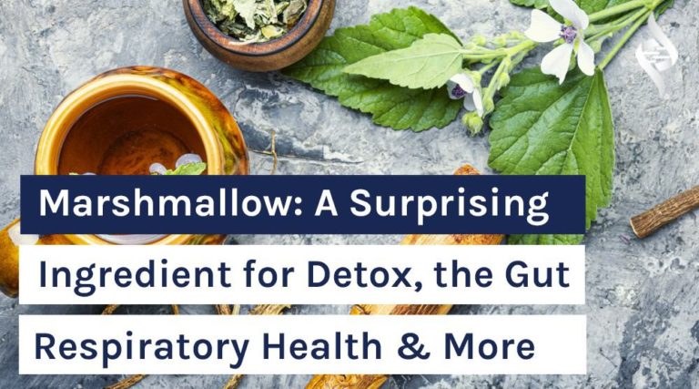 Marshmallow: A Surprising Ingredient for Detox, the Gut, Respiratory Health & More