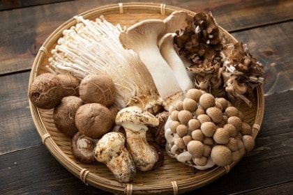 basket of assorted mushroom varieties