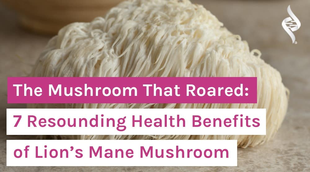 The Mushroom That Roared 7 Resounding Health Benefits of Lion’s Mane Mushroom