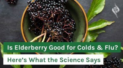 Is Elderberry Good For Colds & Flu? Here’s What The Science Says – Organixx