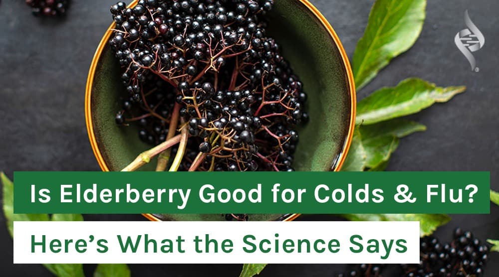 Is Elderberry Good for Colds & Flu? Here’s What the Science Says