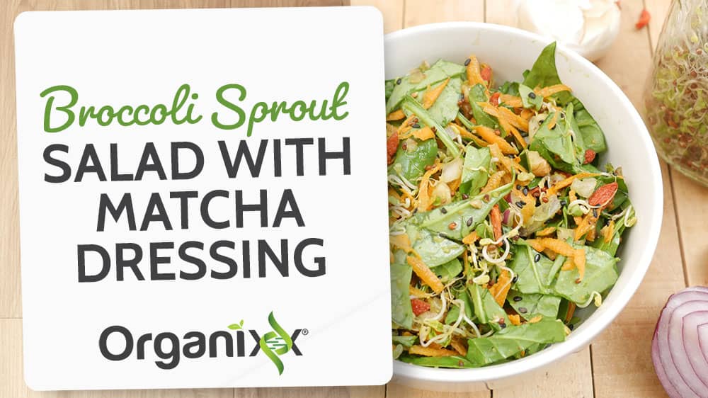 Broccoli Sprout Salad with Matcha Dressing