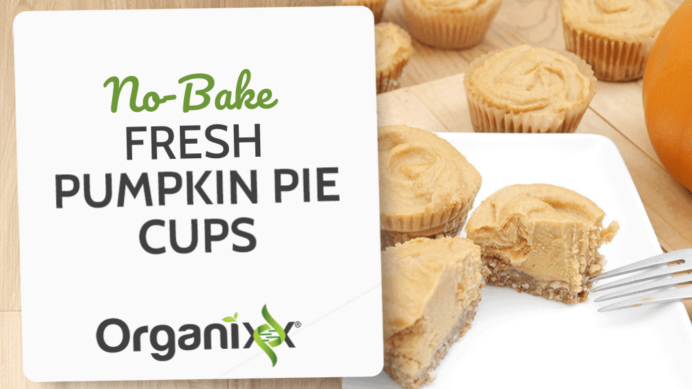 No-Bake Fresh Pumpkin Pie Cups