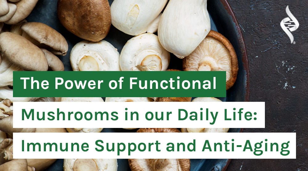 The Power of Functional Mushrooms in our Daily Life: Immune Support and Anti-Aging